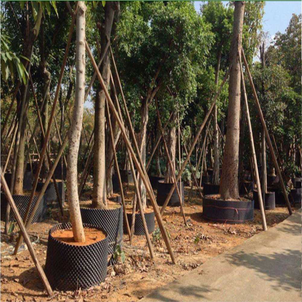 Maceta de cultivo para árboles - Outdoor Furniture reseña y precio