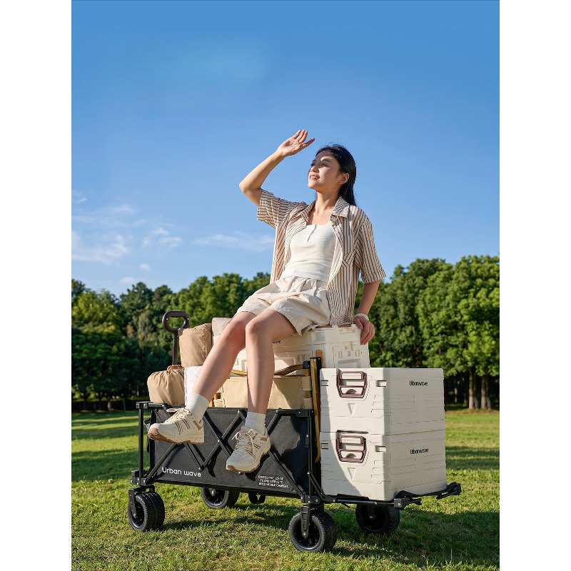 Carrito de Camping Plegable, C - Outdoor Furniture reseña y precio