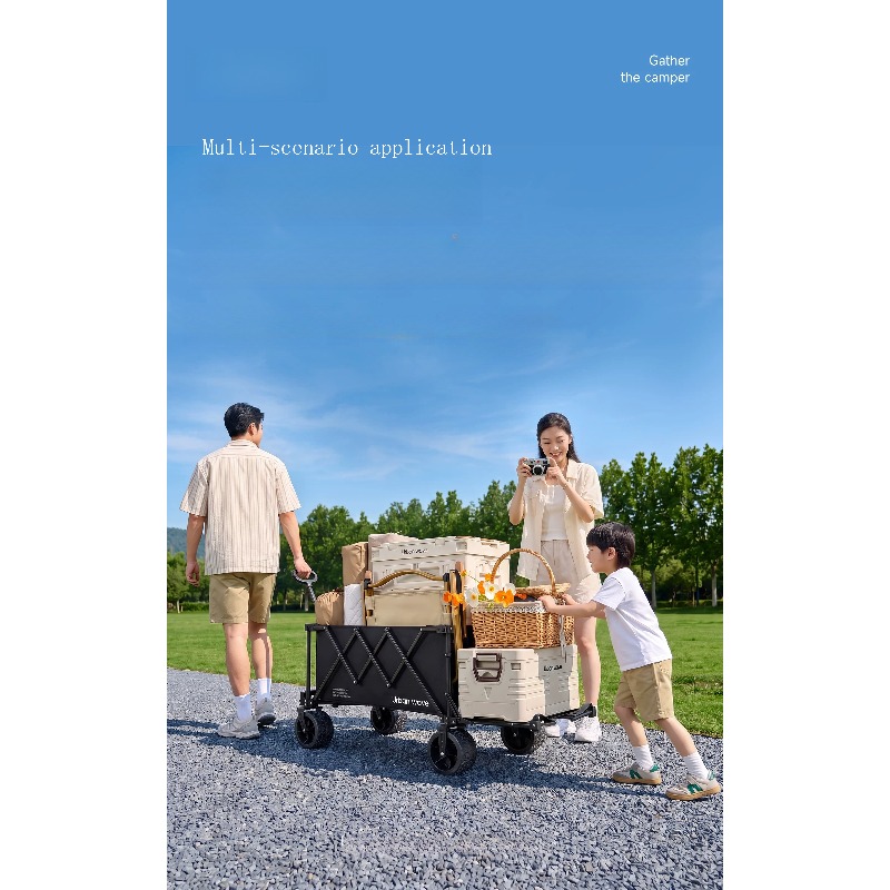 Carrito de Camping Plegable, C - Outdoor Furniture reseña y precio